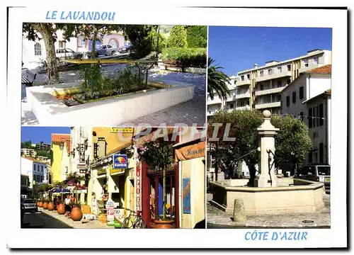 Cartes postales moderne Le Lavandou