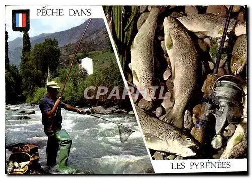 Cartes postales moderne Peche Dans Les Pyrenees Truite