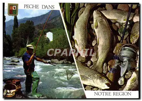 Cartes postales moderne Peche Dans Les Pyrenees Truite