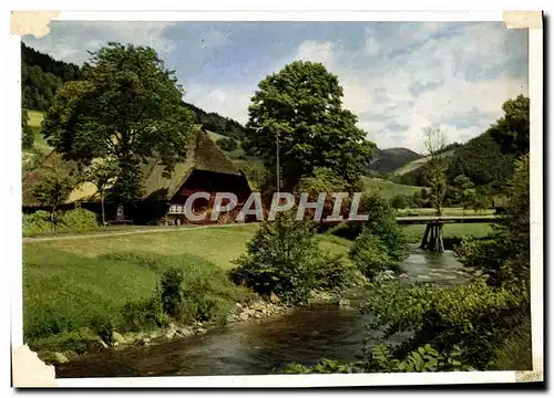 Cartes postales moderne Bauernhaus im Schwarzwald