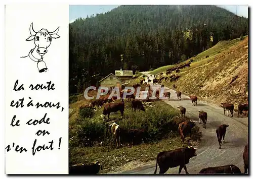 Cartes postales moderne Vaches