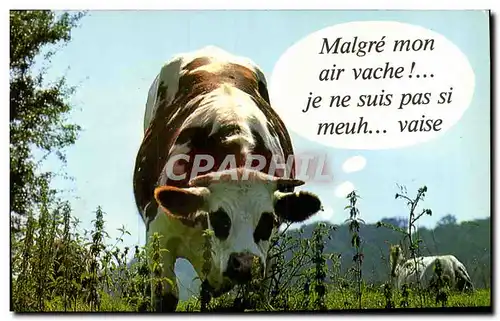 Cartes postales moderne Malgre Mon air Vache je ne suis pas si Meuh vais Vache