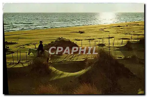 Cartes postales moderne Contre jour et cavalier Cheval