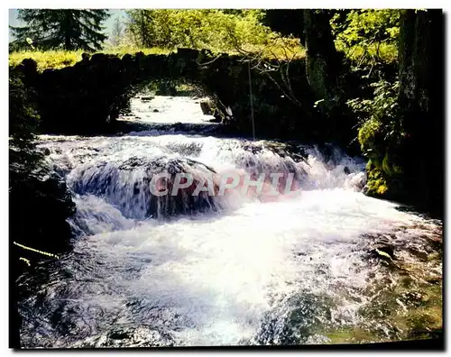 Cartes postales moderne Les Alpes Francaises Pure et limpide est l&#39eau du Torrent