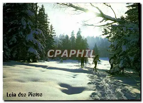 Cartes postales moderne Loin des Pistes Ski