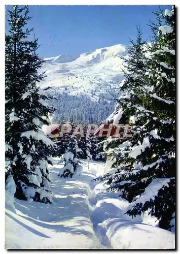 Cartes postales moderne Dans Nos Montagnes Majestueux hiver