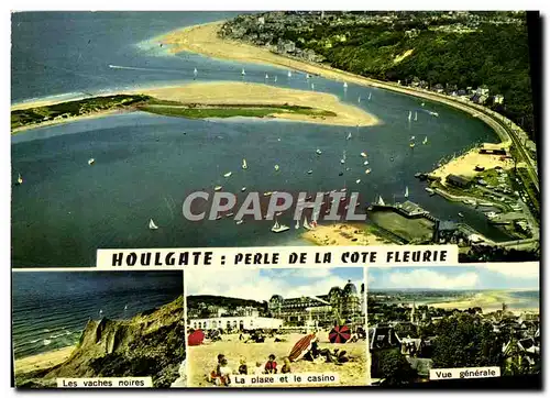 Moderne Karte Houlgate Les vaches noires La plage et le casino Vue generale