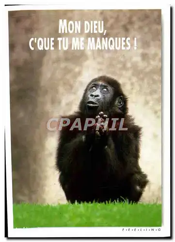 Cartes postales moderne Mon Dieu C&#39Que Tu Me Manques Singe