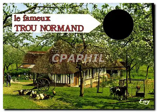 Cartes postales moderne Le Fameux Trou Normand Normandie Vache