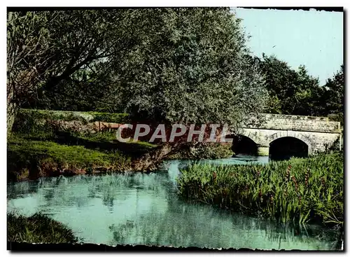 Cartes postales moderne La Normandie Pittoresque Pres Du Vieux Pont