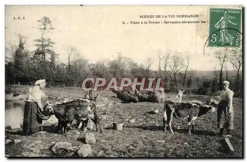 Ansichtskarte AK Scenes De La Vie Normande Visite A la Ferme Vaches Folklore Servantes abreuvant les betes