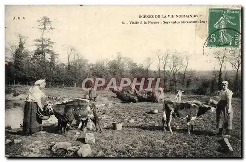 Cartes postales Scenes De La Vie Normande Visite A la Ferme Vaches Folklore Servantes abreuvant les betes