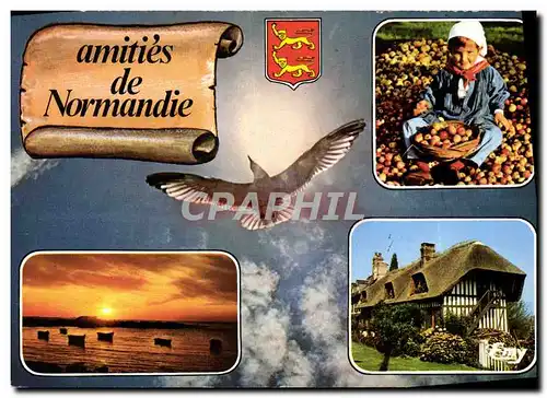 Cartes postales moderne La Normandie Pittoresque Folklore Mouette Enfant Pommes