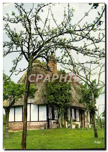 Cartes postales moderne Normandie Chaumiere en pays D'auge