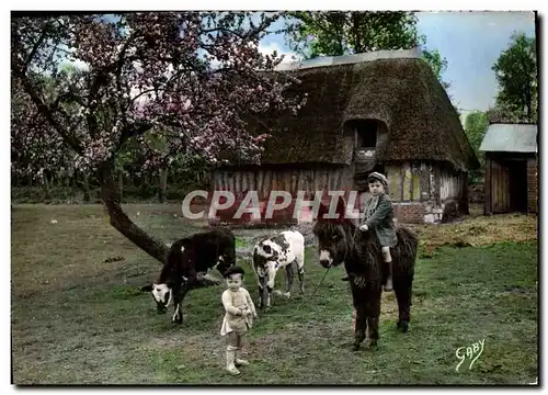 Cartes postales moderne De Normandie Bons Amis Enfants Ane Mule Vaches