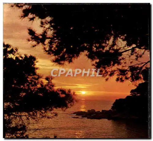 Cartes postales moderne Lumiere Et Beaute De La Cote D&#39Azur