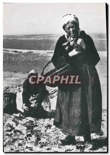 Cartes postales moderne La Normandie D&#39Autrefois Les Pecheuses de coques Peche Femme