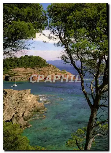 Cartes postales moderne La Cote d'Azur Calanque Dans Les Pins