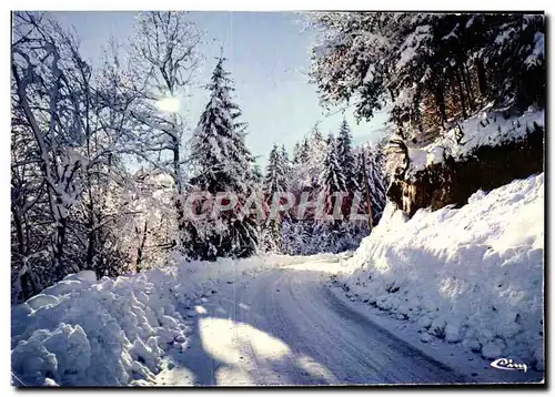 Cartes postales moderne Neige Et Soleil Contre Jour