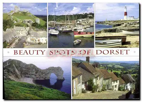 Cartes postales moderne Beauty Sports Of Dorset Corfe castle Durdle door Phare