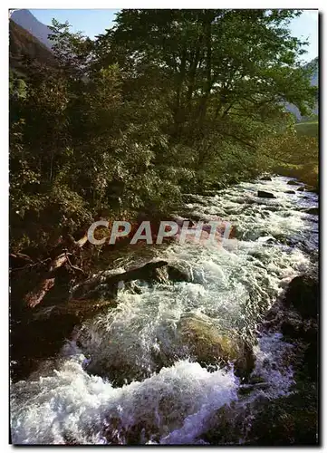 Cartes postales moderne En Perigord Aux Bords De La Dronne