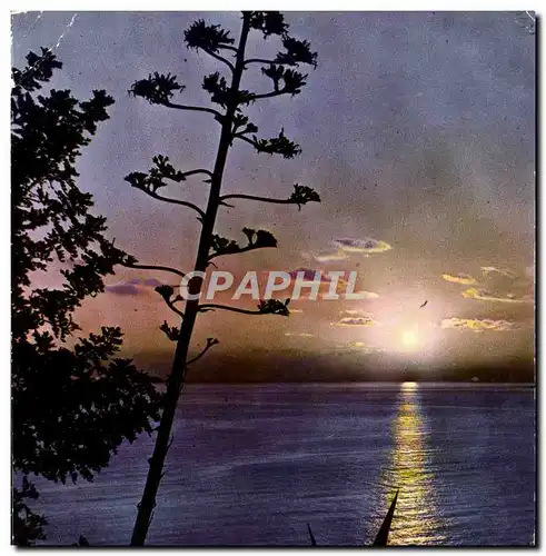 Cartes postales moderne Soleil Couchant Sur La Mediterranee
