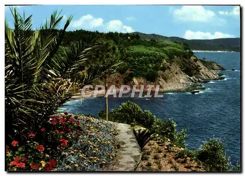 Moderne Karte Calanques et vegetations mediterraneenne