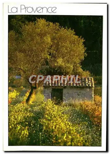 Cartes postales moderne La Provence Ramade Seppim Maison