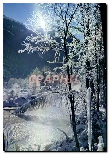 Cartes postales moderne Paysage Hivernal Givres Et Brouillards