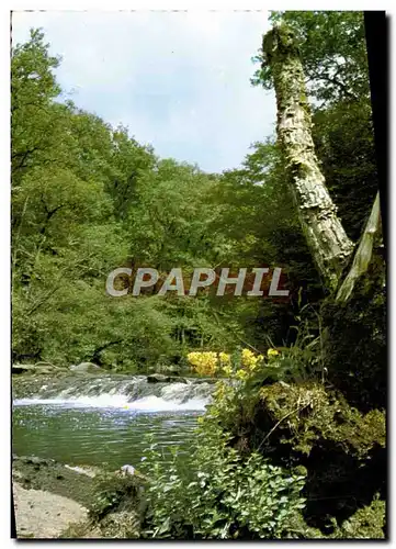 Cartes postales moderne Campagne Pittoresque Arbres