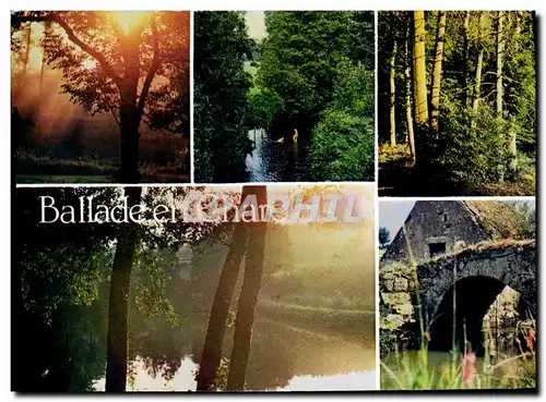 Cartes postales moderne Ballade en Charolais