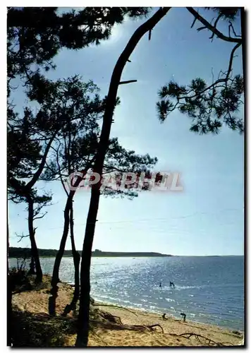 Cartes postales moderne plage