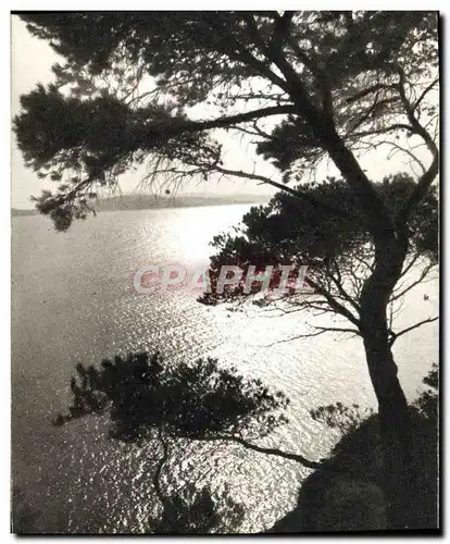 Cartes postales moderne paysage bord de la mer