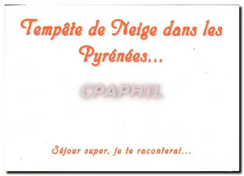 Cartes postales moderne Tempete De Neige Dans Les Pyrenees