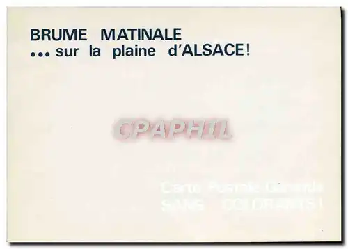 Cartes postales moderne Brume Matinale Sur La Plaine d&#39Alsace