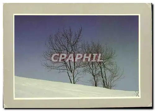 Cartes postales moderne Les joies de la neige Philippe Varrenes