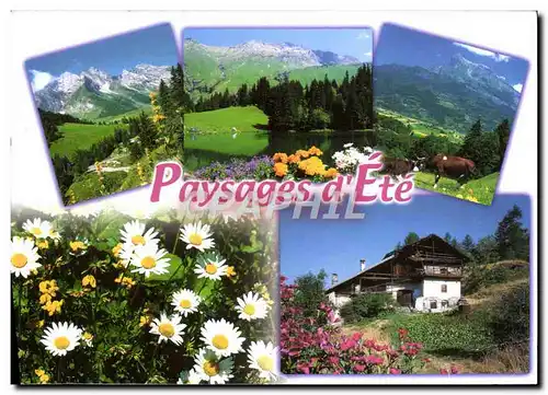 Cartes postales moderne Paysages d'Ete
