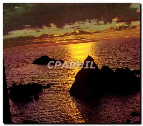 Cartes postales moderne La Mediteranee Coucher de Soleil