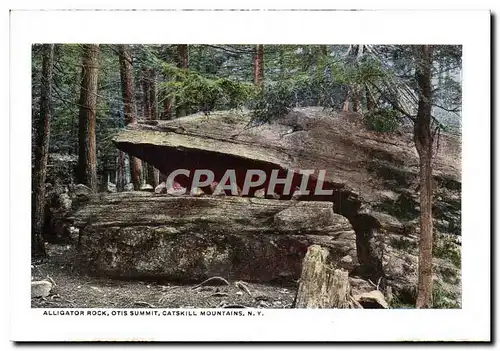 Cartes postales moderne Alligator Rock Otis Summit Catskill Mountains