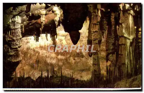 Cartes postales moderne Cuevas del Drach porto Cristo Mallorca Monje y cactus