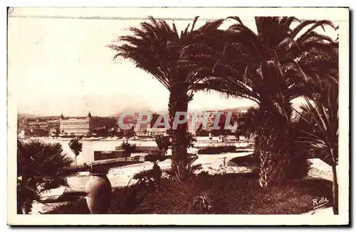 Cartes postales Cannes Les grands hotels de la Croisette vus du Jardin des Hesperides