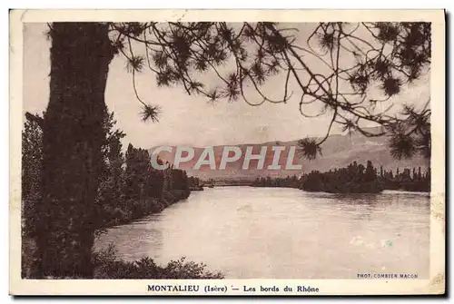 Ansichtskarte AK Montalieu Les bords du Rhone