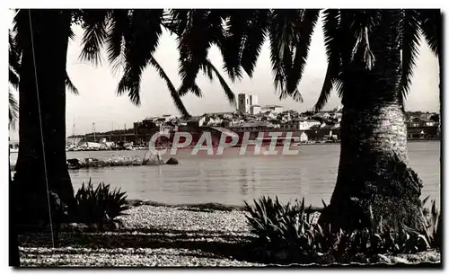 Moderne Karte Antibes Echappee la Vieille Ville a travers les palmiers