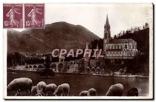 Cartes postales Lourdes La basilique et le Pic du Jer Moutons