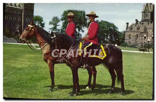 Cartes postales moderne Saint Malo Manitoba the royal Canadian Mounted Police Cheval
