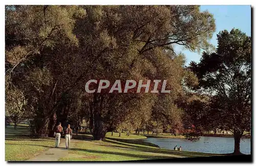 Cartes postales moderne The Willow Path and Taylor Lake colgate University Campus Hamilton