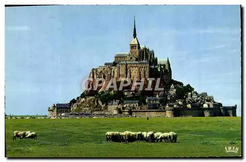 Cartes postales moderne Le Mont Saint Michel Les Pres Sales Moutons