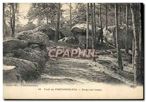 Ansichtskarte AK Foret de Fontainebleau Gorge aux Loups