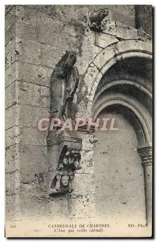 Ansichtskarte AK Cathedrale De Chartres L&#39Ane Qui veille