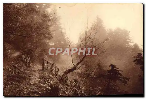 Ansichtskarte AK Toute la France Luchon Superbahneres et Environs Sentier de montagne foret de Superbagneres